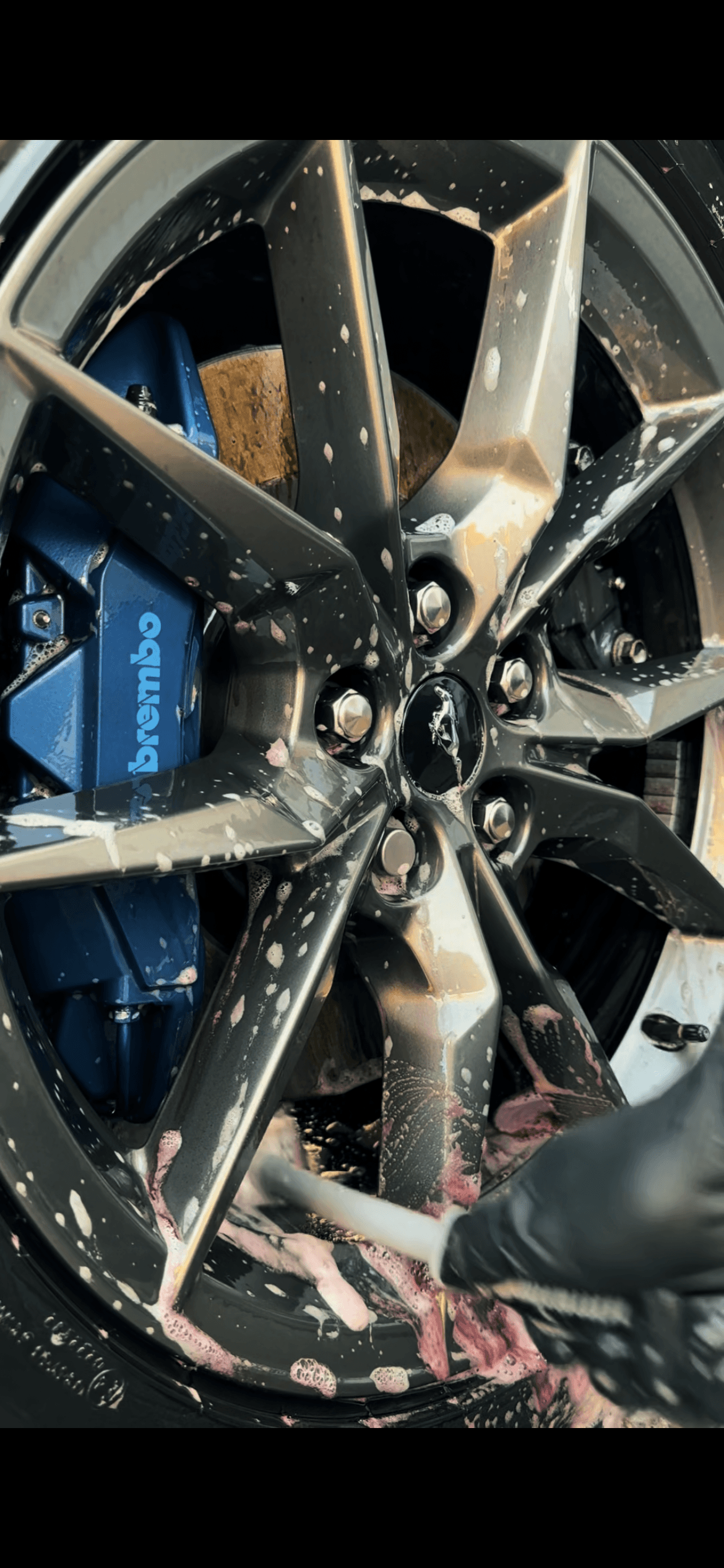 Ford Mustang Dark Horse